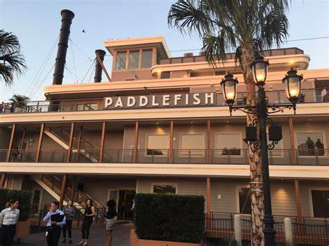 Paddlefish