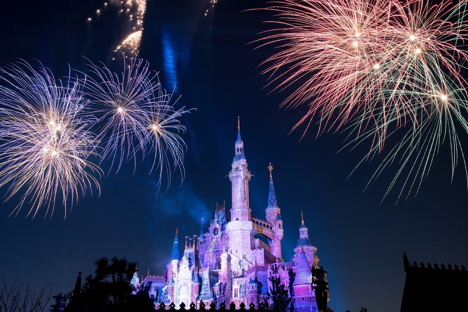 A Look at Some Unusual Viewing Locations for the Magic Kingdom's Fireworks