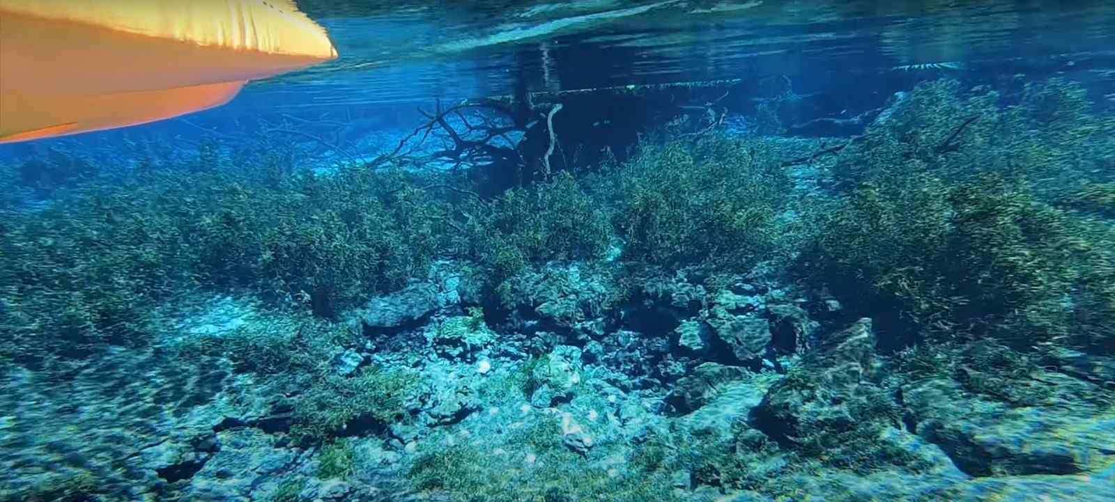 How Busy Is Rainbow Springs State Park?