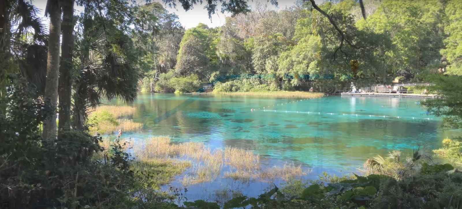 Visiting Rainbow Springs State Park With Kids With Family