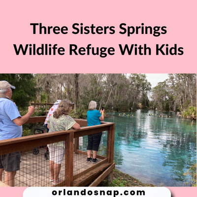 Three Sisters Springs Wildlife Refuge With Kids - Visit Tips