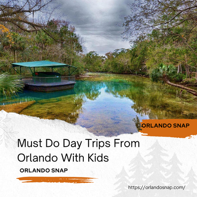 Must Do Day Trips From Orlando With Kids