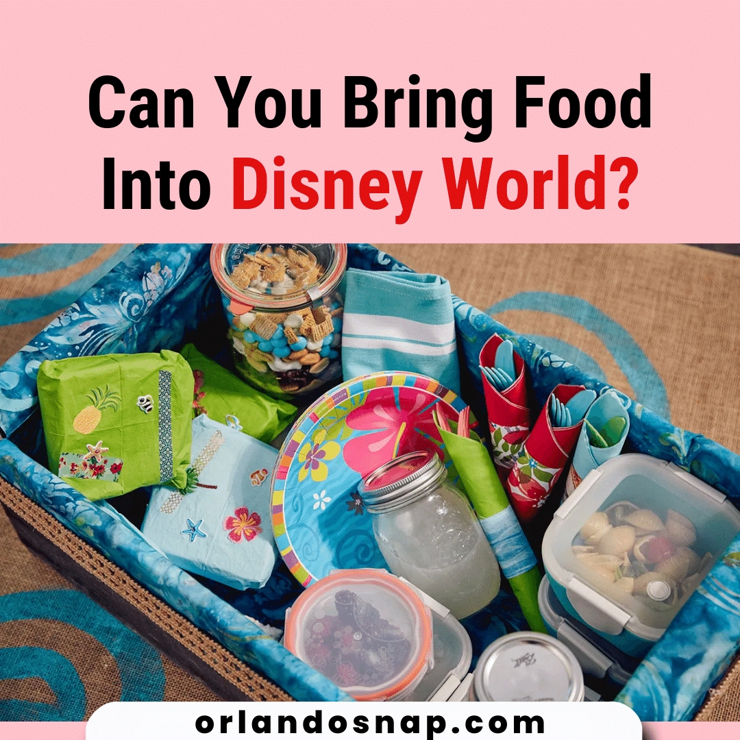 Can You Bring Food Into Disney World? - Outside Food In Park
