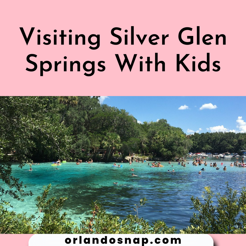 Visiting Silver Glen Springs With Kids - Orlando Fun Time