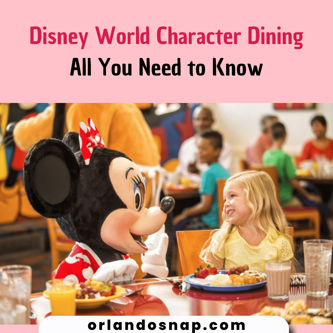 Disney World Character Dining All You Need to Know - Dine & Fun