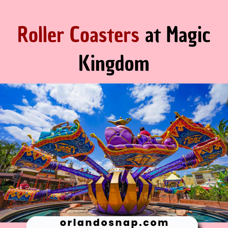 Roller Coasters at Magic Kingdom - All You Need to Know