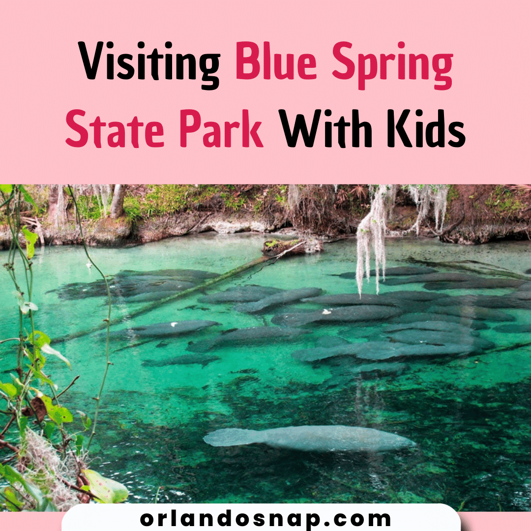 Visiting Blue Spring State Park With Kids - Family Enjoyment